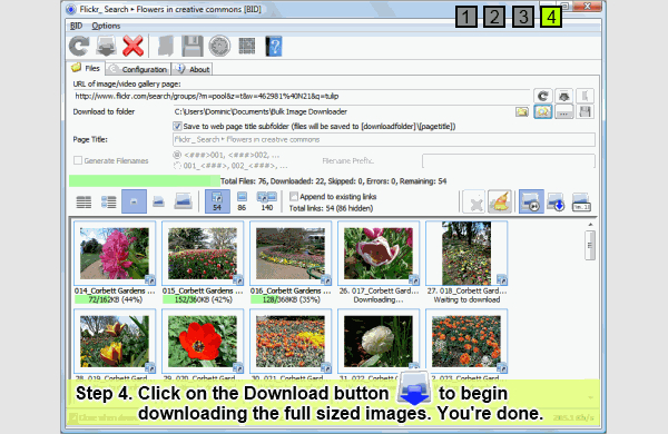 image download software