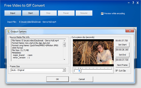 free video to gif converter1