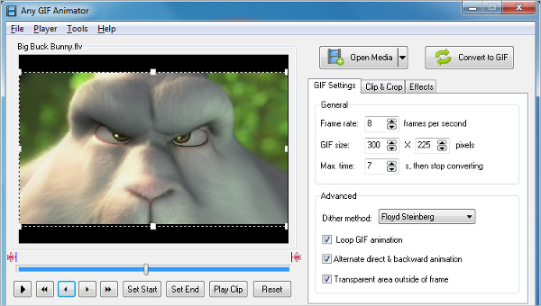 Video to GIF Converter Software1