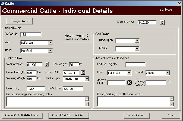 cow sense herd management software