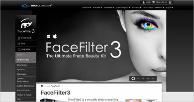 FaceFilter31