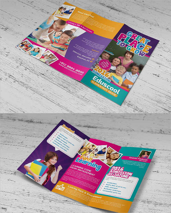 elementary school education trifold brochure