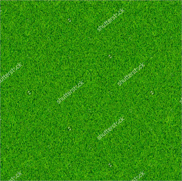 tileable grass texture