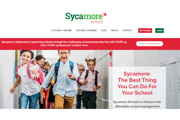sycamore school