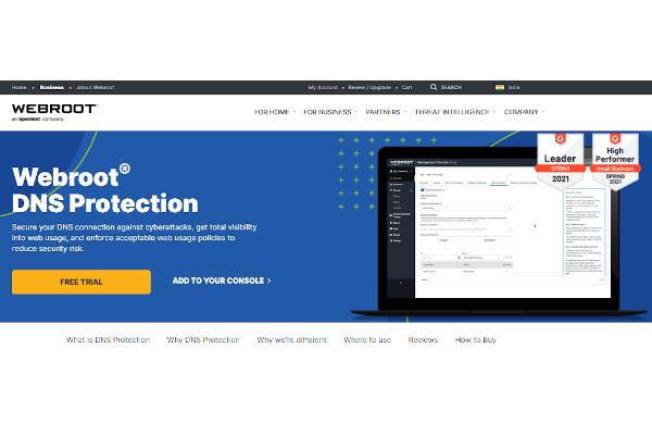 webroot dns protection