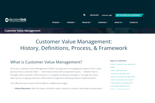 decisionlink customer value management